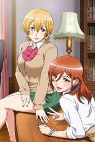 Todos los Episodios de Kozukuri Ninkatsu Bu!