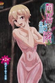 Todos los Episodios de Doukyo Suru Neneki